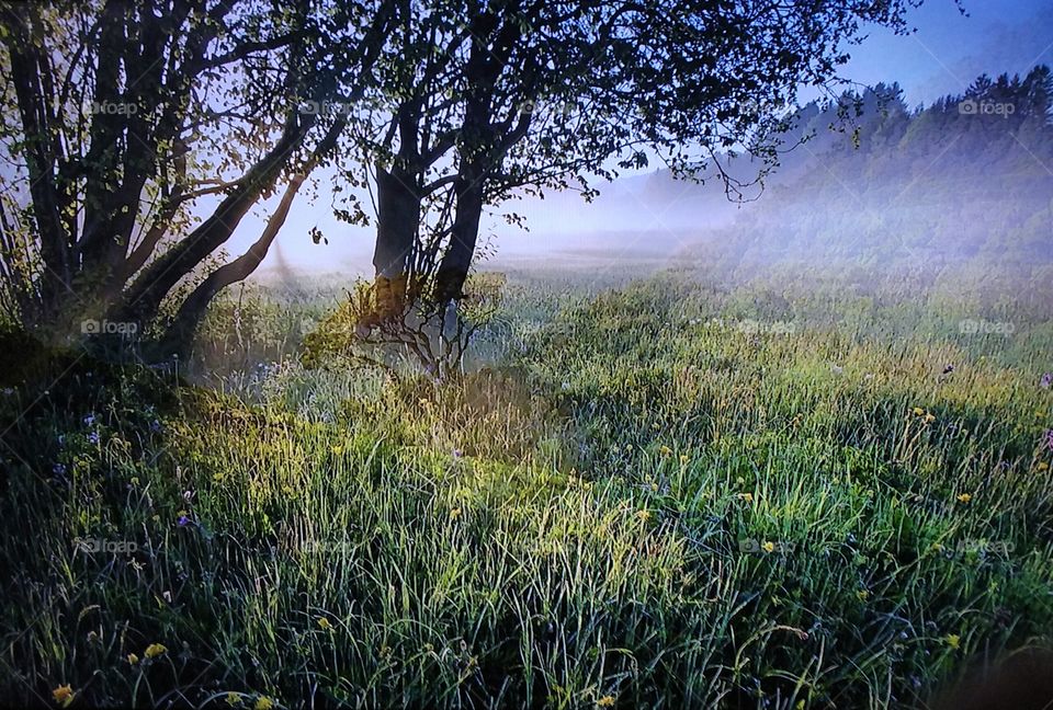 Autumn rain reflections
