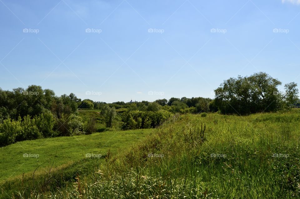 The nature of the native land. In summer, the village is especially good. Everything is blooming and fragrant. Fresh air