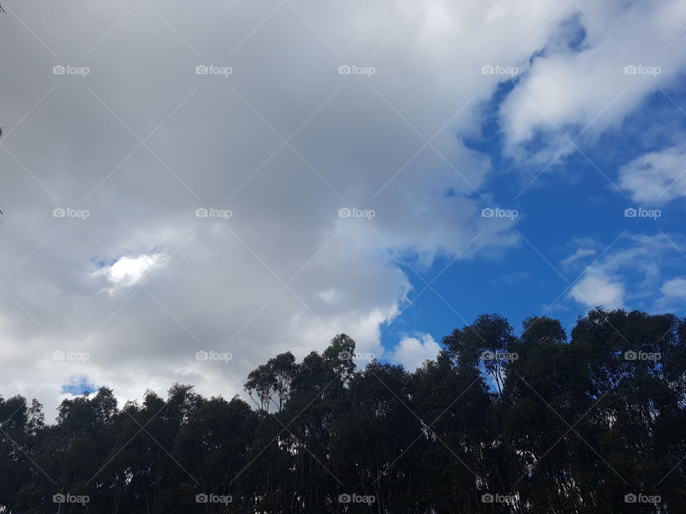 Storm clouds chasing blue skies