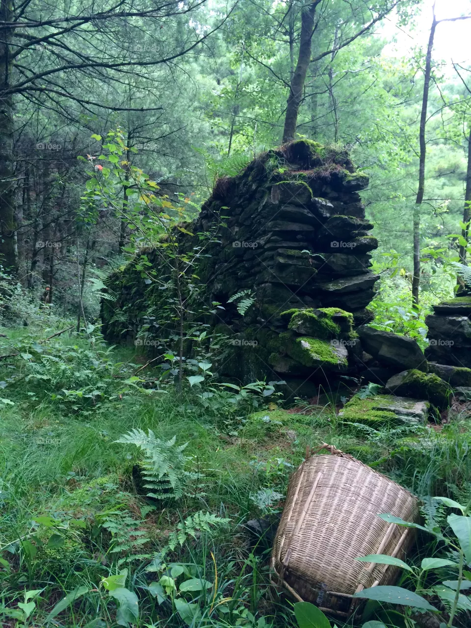 Nature Hike 