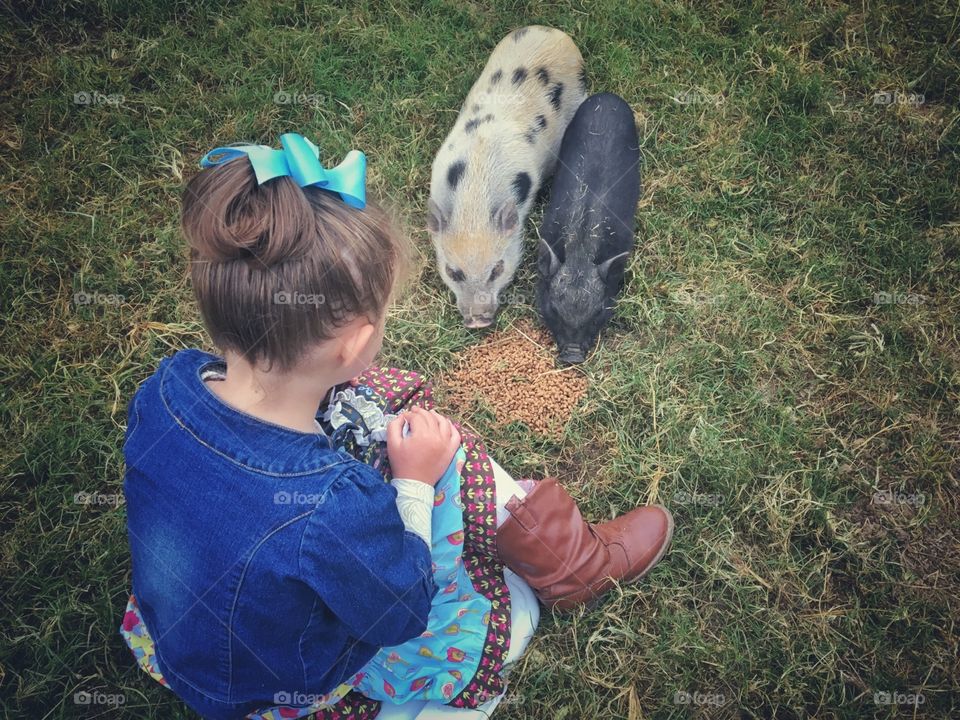 A Girl and Her Pigs