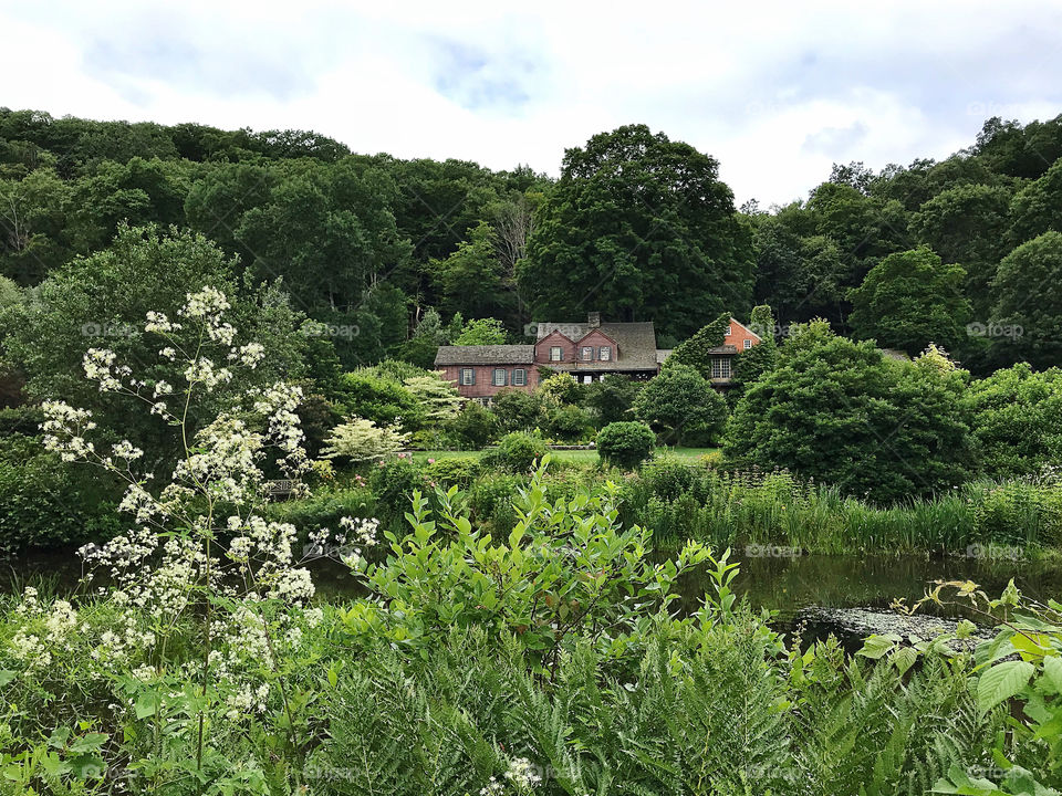 English country garden 