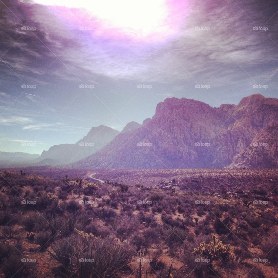The Nevada desert at Red Rock Canyon near Las Vegas. 