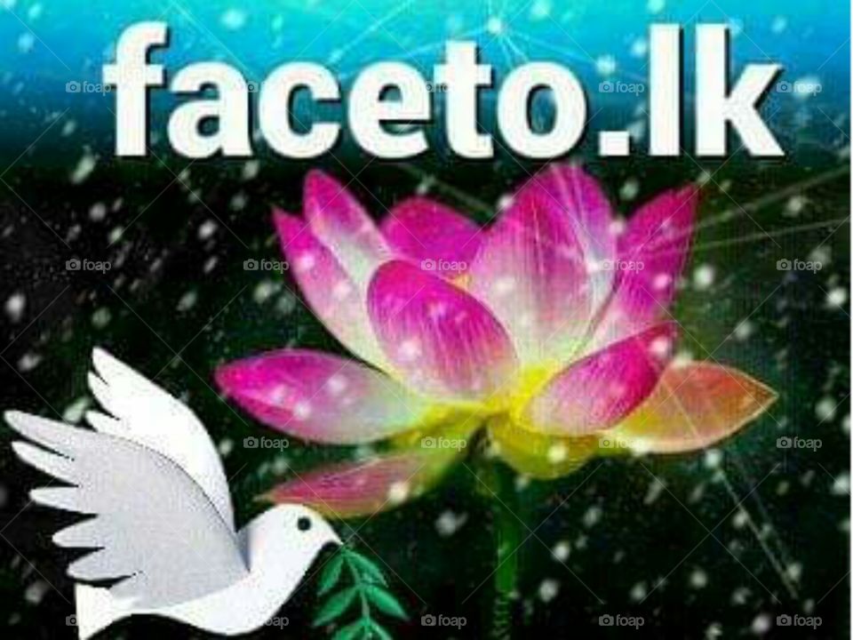 www.faceto.lk