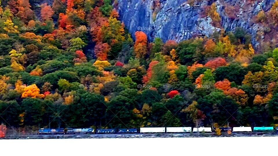 Fall freight train