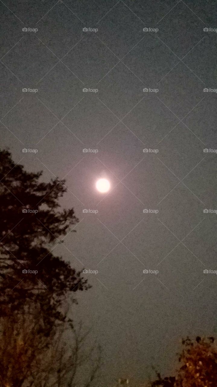 Supermoon  from my back porch