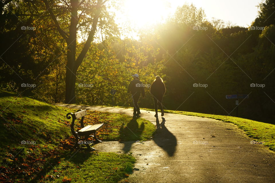 Autumnal walk in the park … Golden hour 