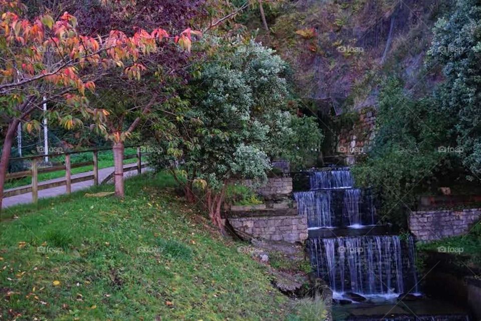 Autumn#leaves#colors#nature#trees