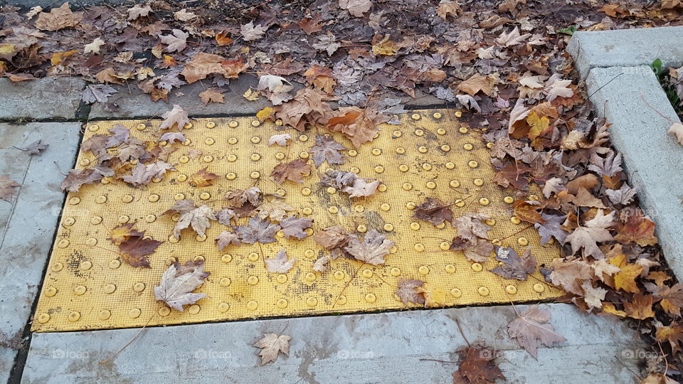 one of those yellow sidewalk texture things