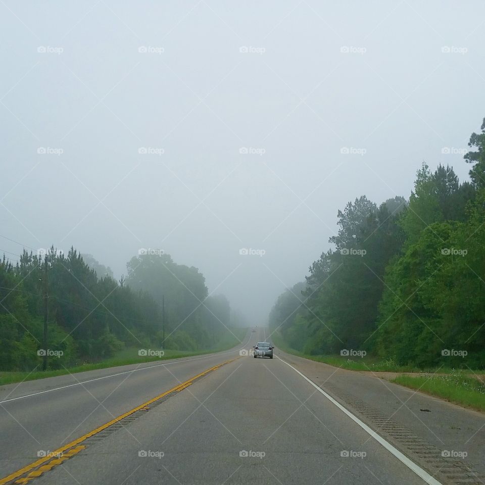 foggy road. foggy road rural Louisiana 
