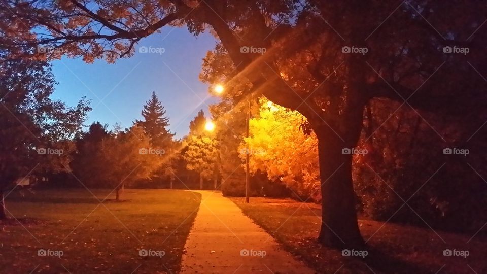 evening walk