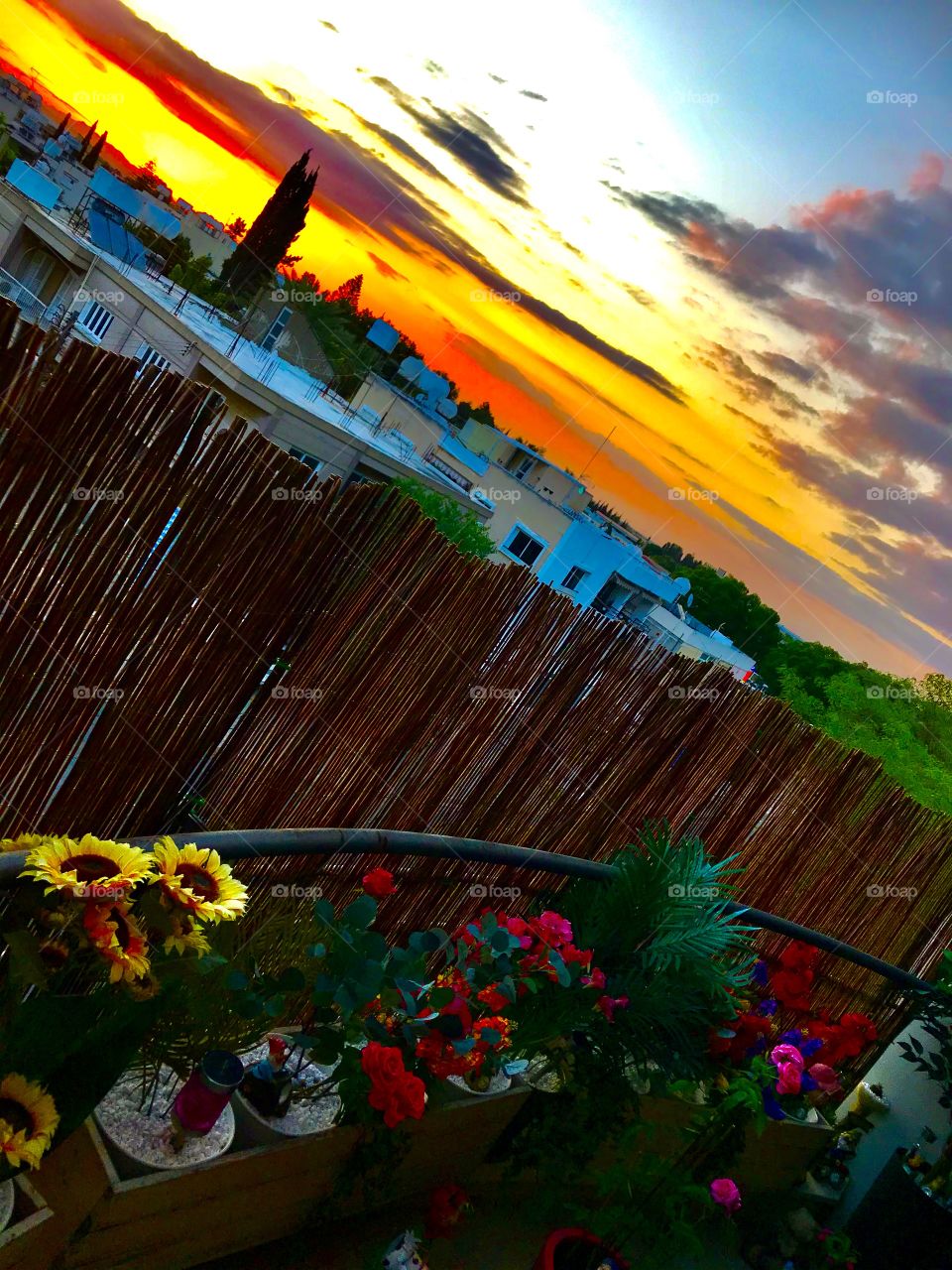 My Magic World Through My Eyes ..!!