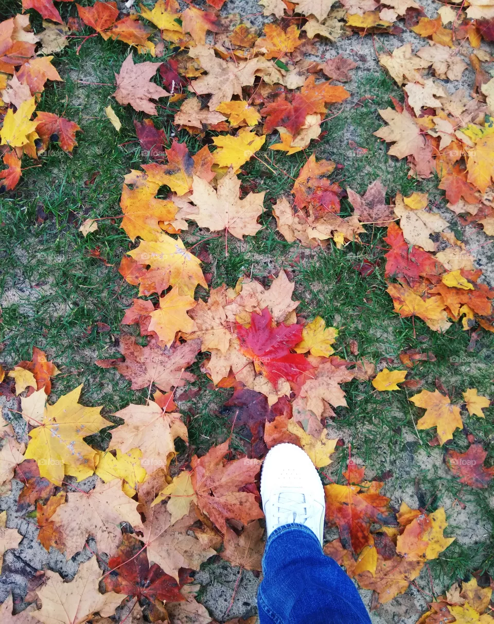 autumn time