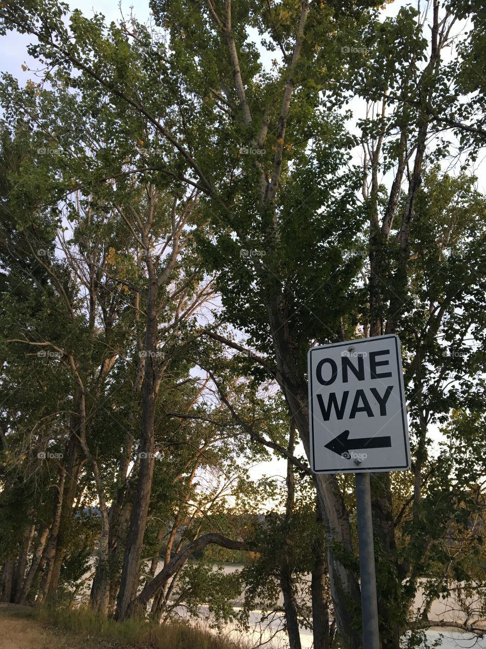 One way sign! 
