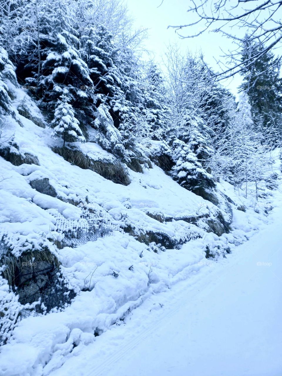 Snow on a Rocky Hillside