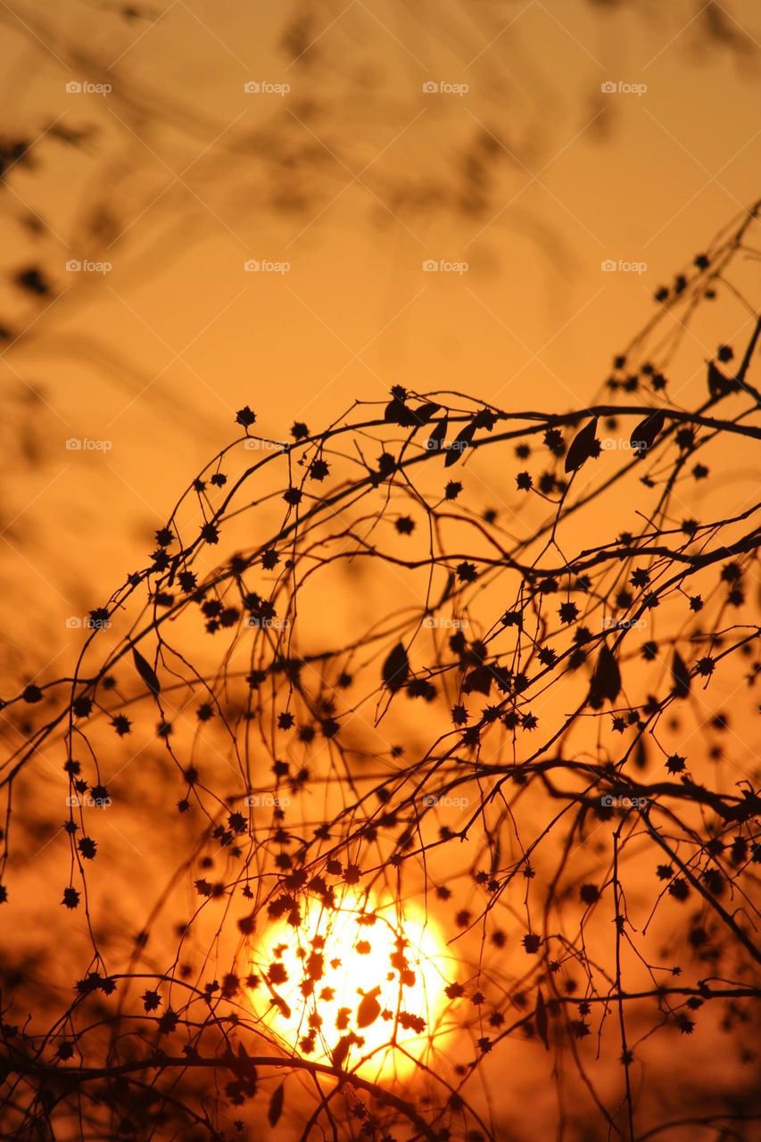 morning is always beautiful