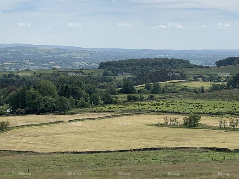 Countryside Landscape 