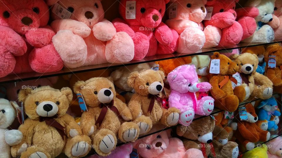 teddy bears in the shorp