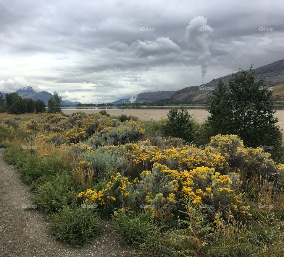 Beautiful fall colours 