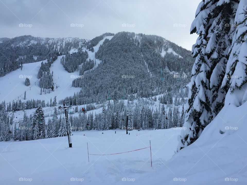 mountain, snow mountain, evergreen trees, snow, snowing. Fog, snowboarding, skiing, sky, 7th heaven , winter, ski resort, frozen, freezing, trees, forest, winter wonderland