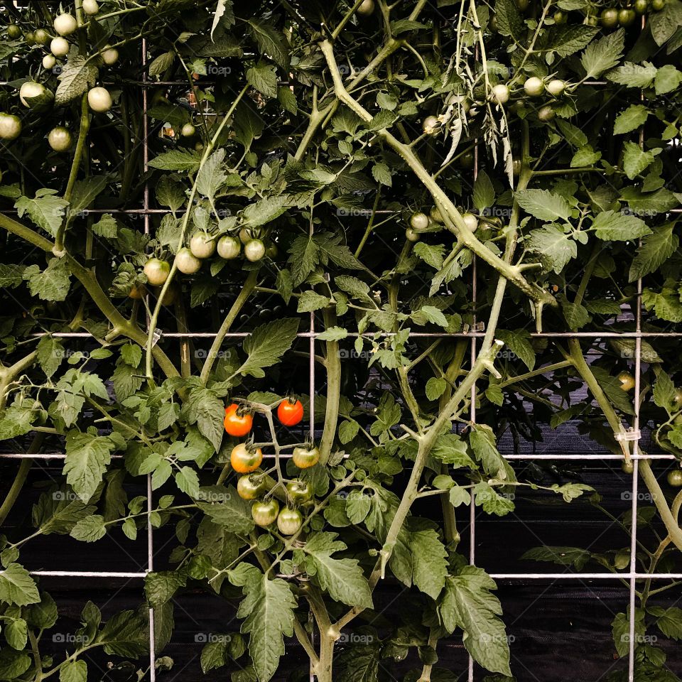 Way to ready for this 