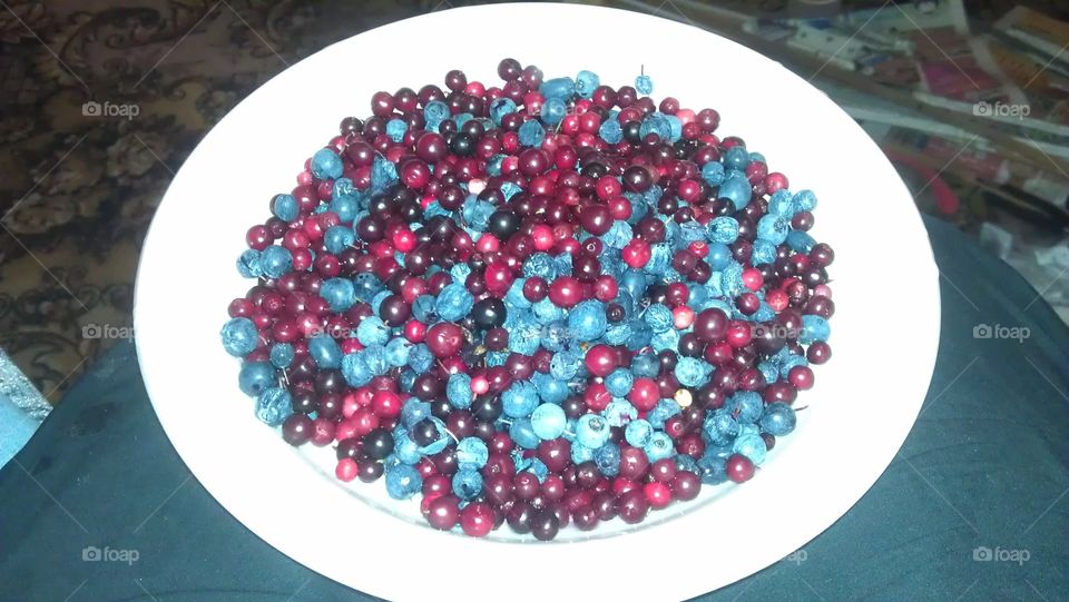 Berries: cranberries, blueberries, blueberry