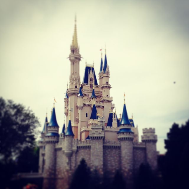 Cinderella castle 