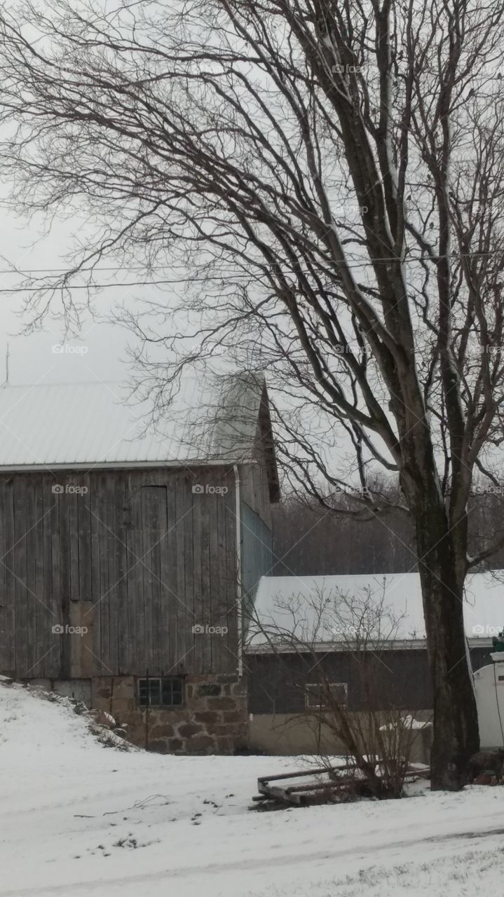 Once Upon A Winter's Day