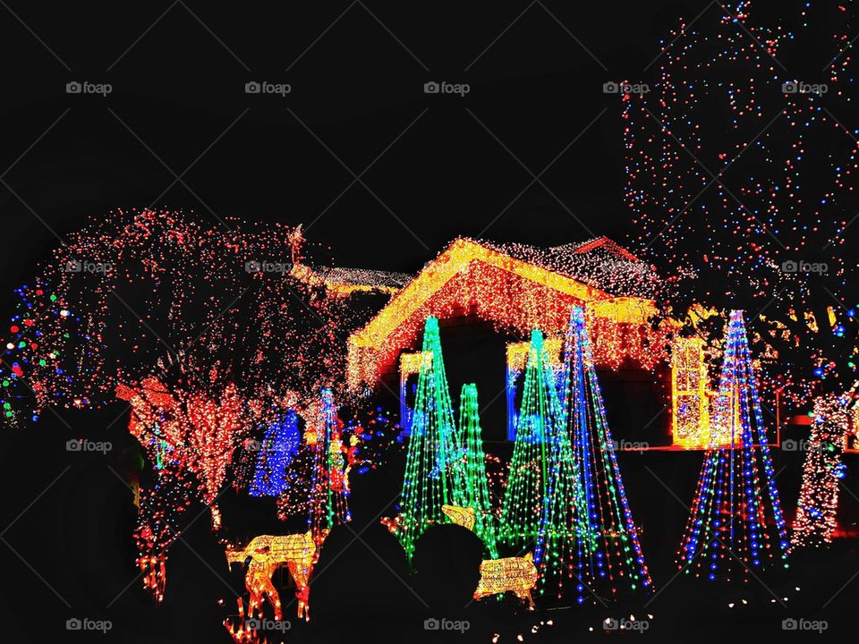 Outdoor Holiday Light Display