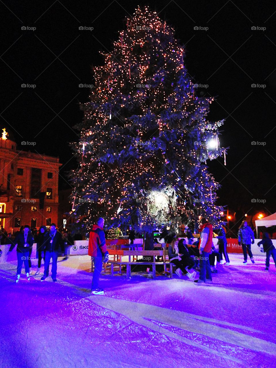 Christmas tree at Bratislava...