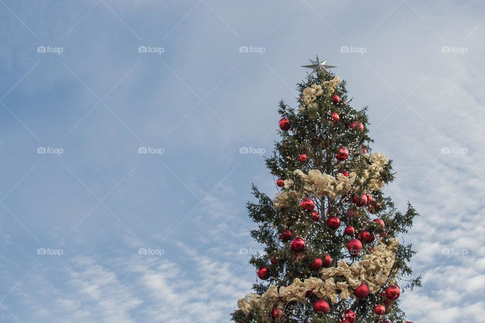 Christmas Tree Under Sky