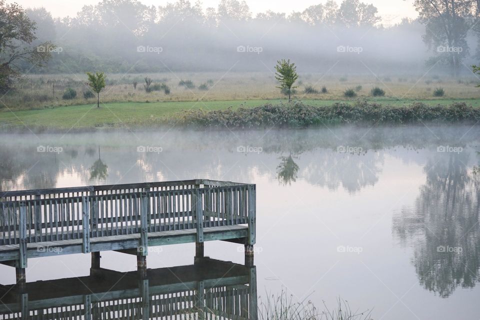 Fall Rain Reflection