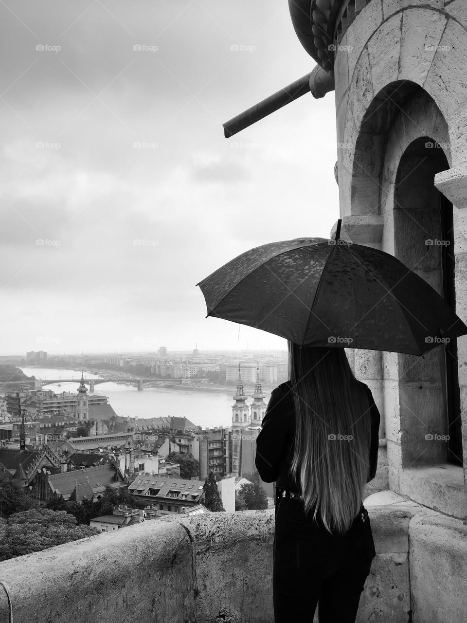 moment in black and white above the city of Budapest