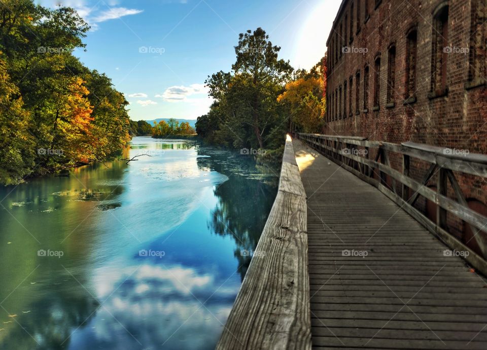 Boardwalk along the river 