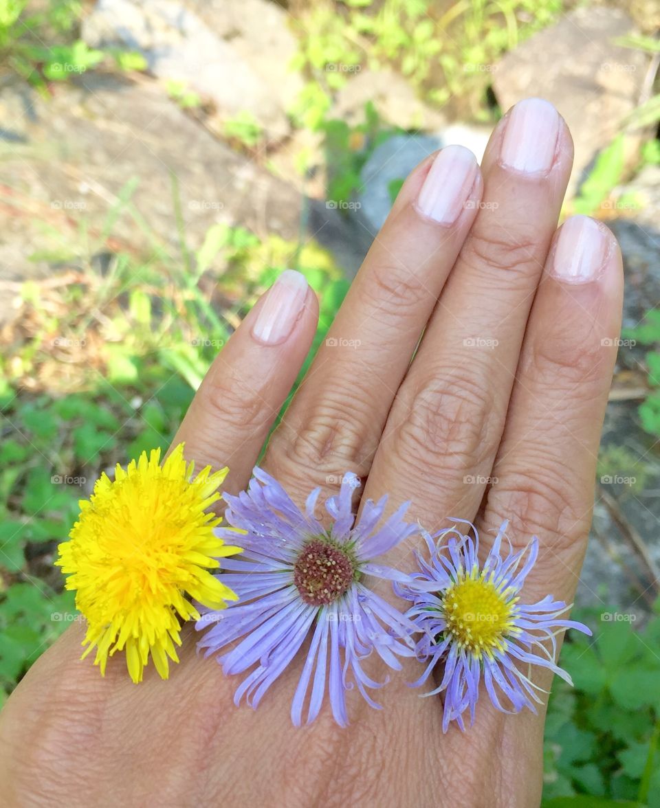 Natural rings 💍 