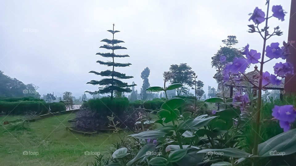 Alam Sewu, Ngadirejo Central Java Indonesia, A village on the sky.