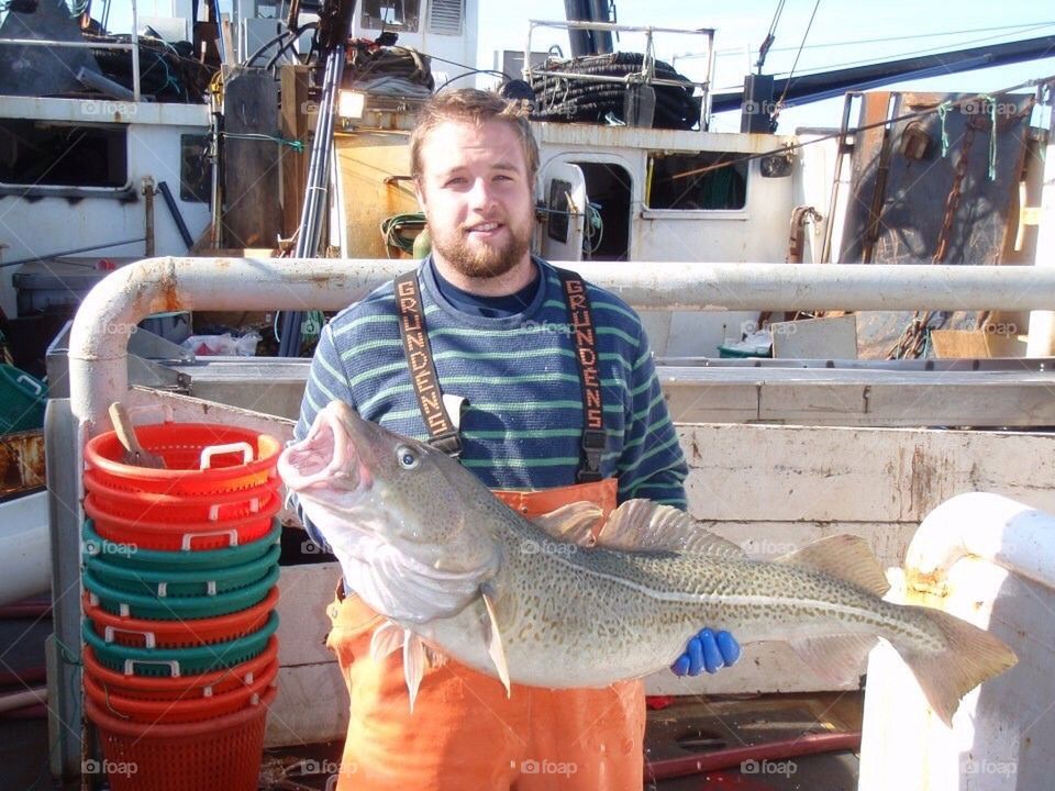 Big cod