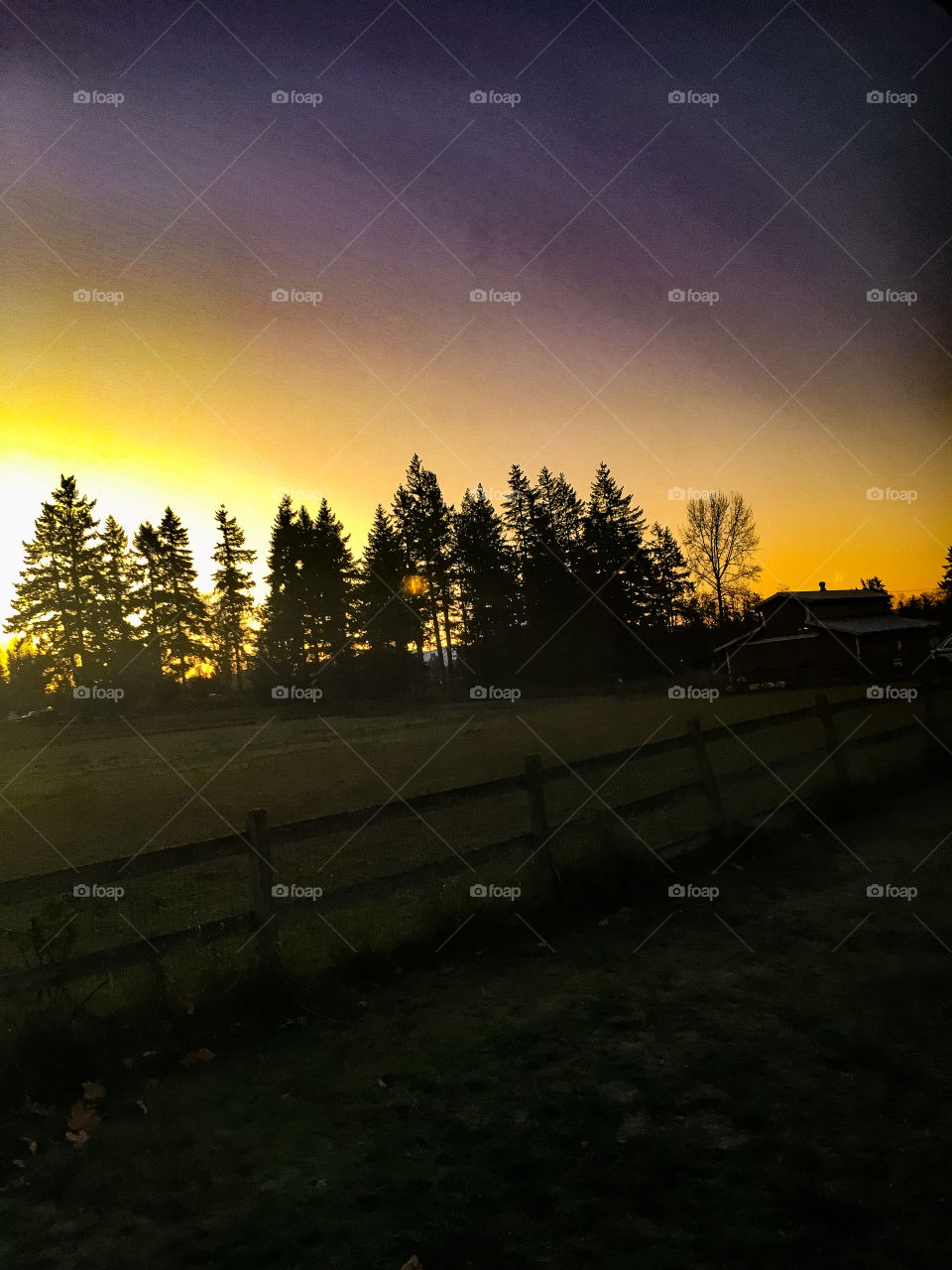 Sunrise over the Farm 