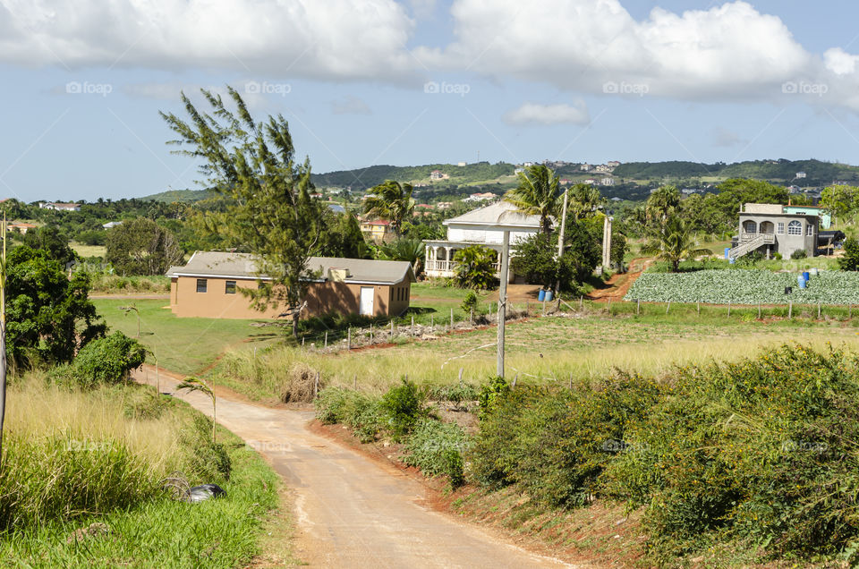 Landscape View From Top Of A Slope