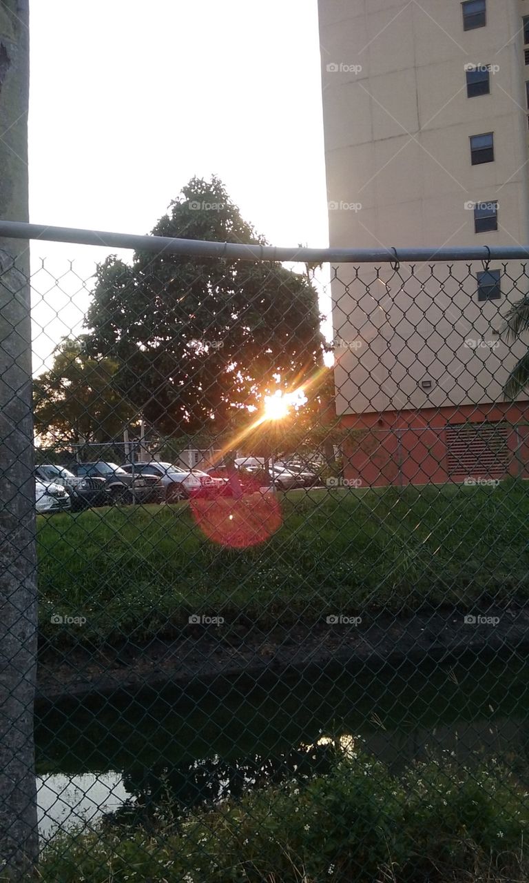 Sunset sun light dies slowly behind the city trees