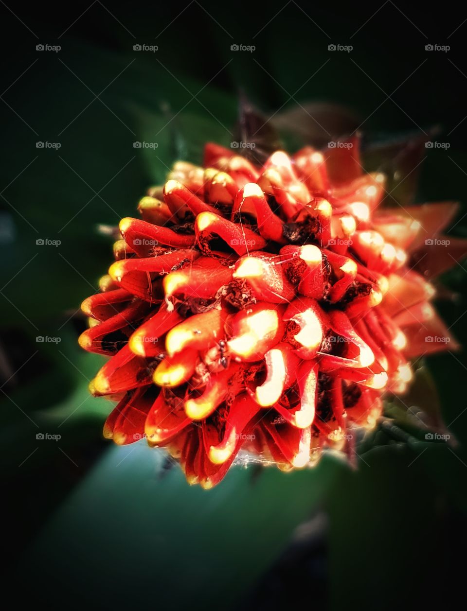 sundaymorningsparkoffer