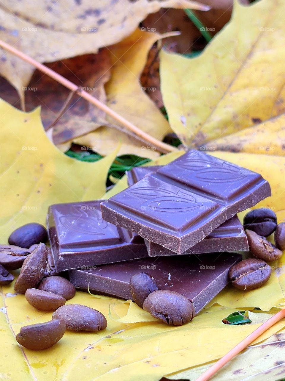 Chocolate bars and roasted coffee beans on yellow leaves