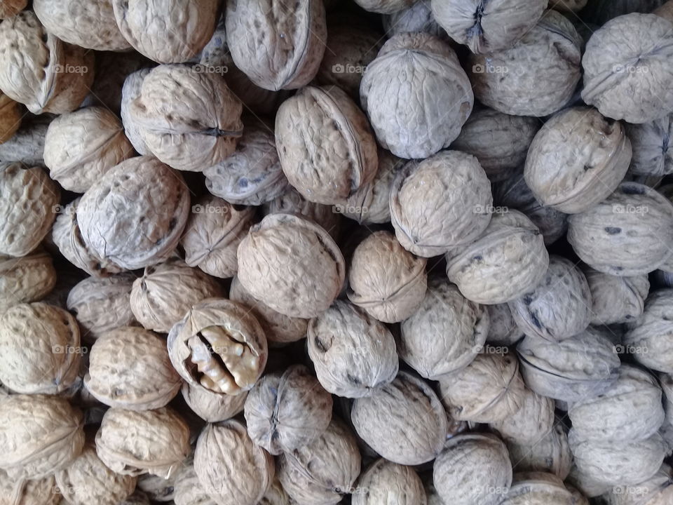walnut