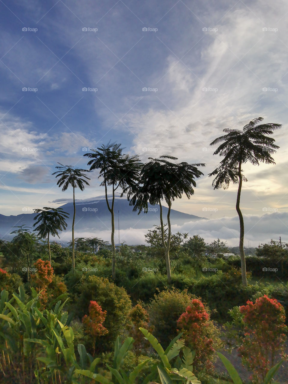 silent morning in batu