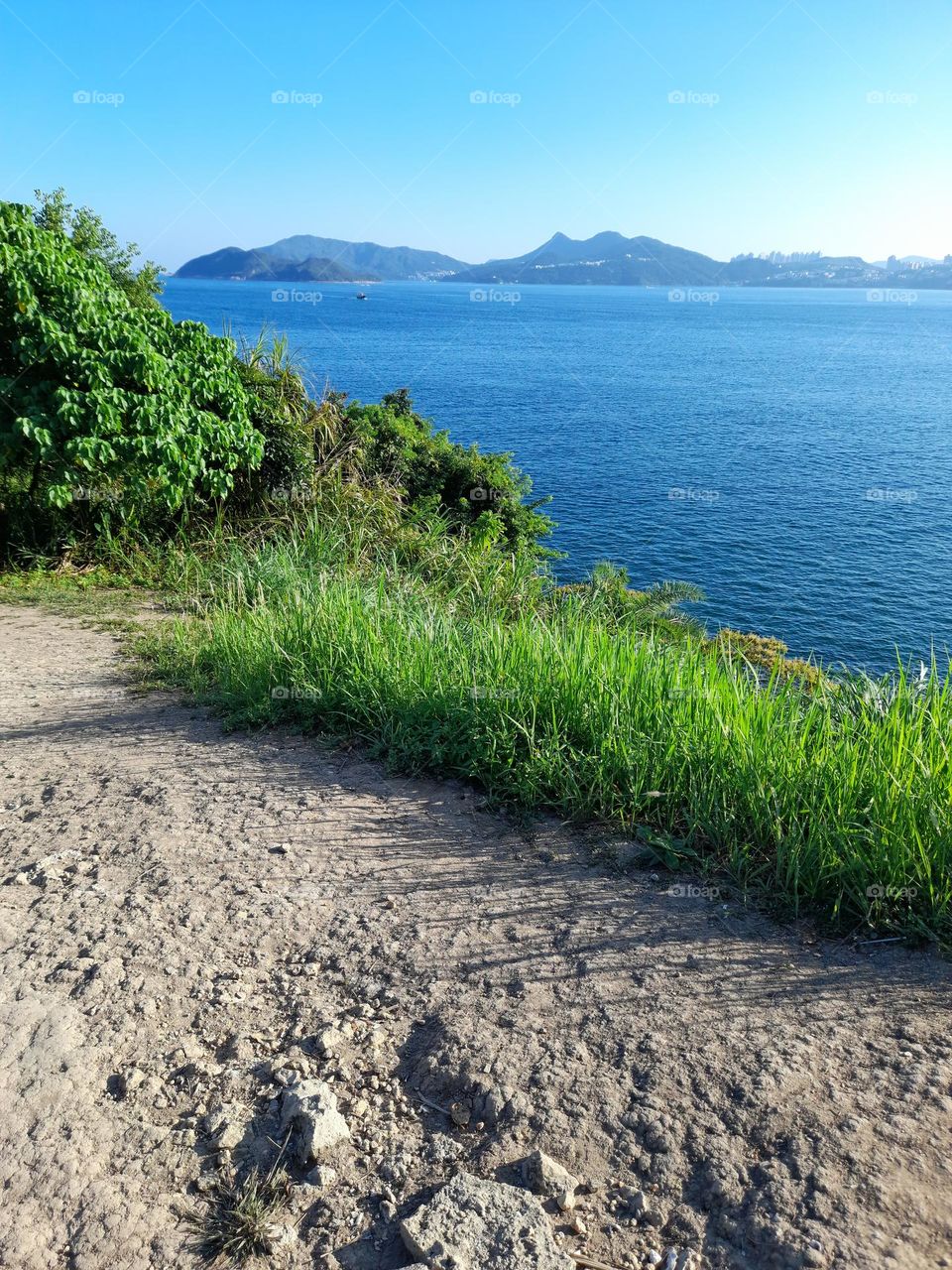 scenery on sunny day