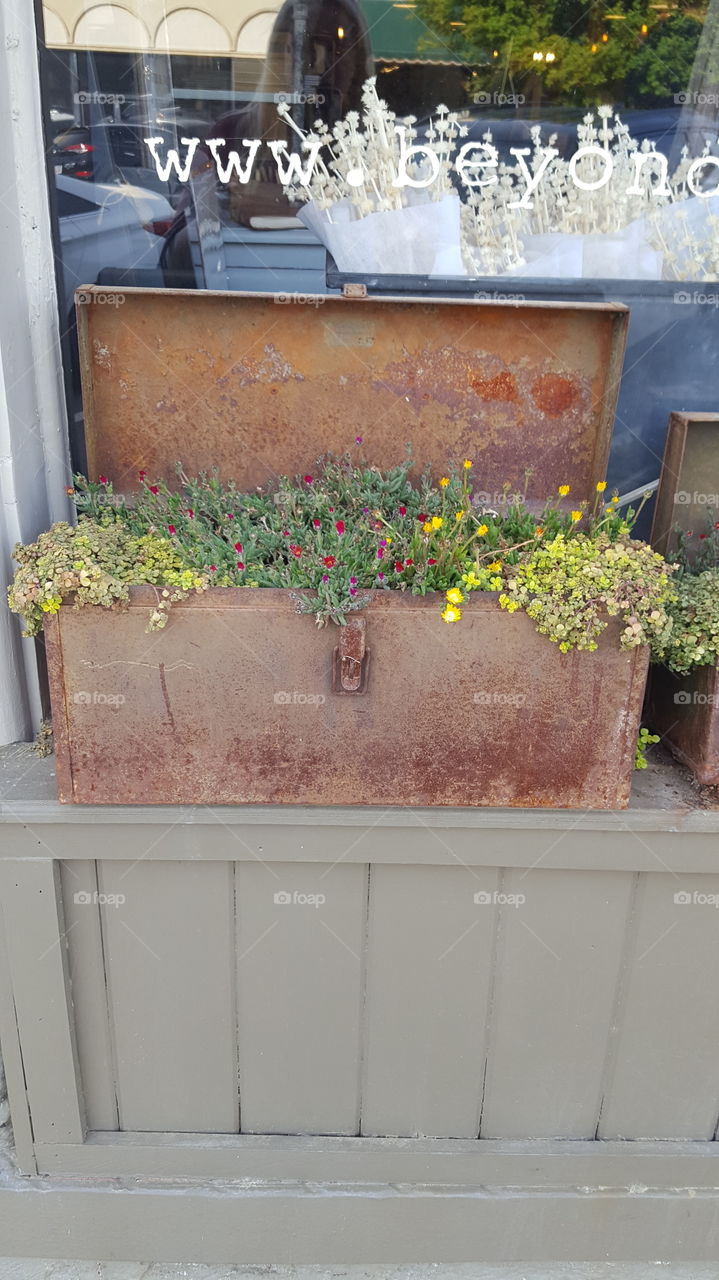 Antique Toolbox Planter