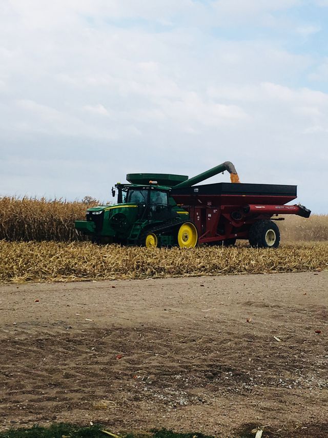Farm tour 
