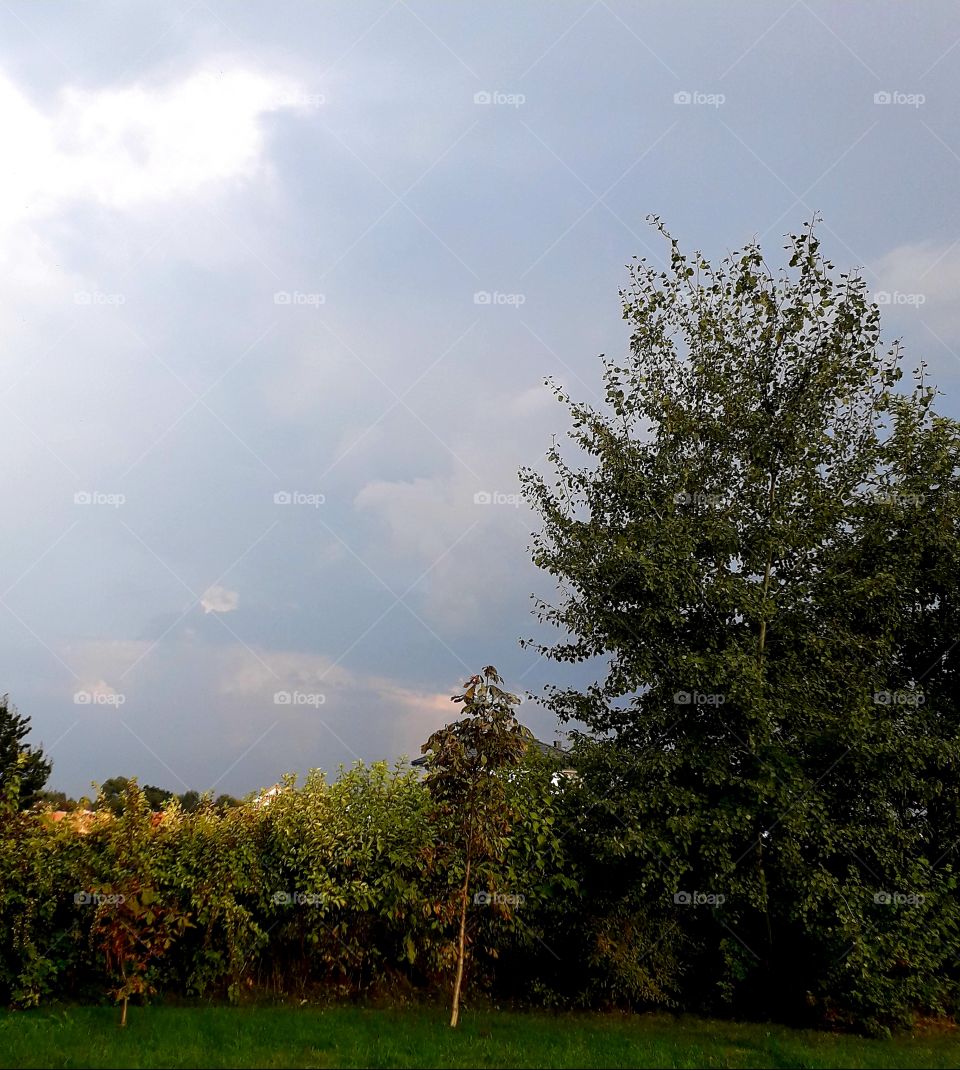 sunshine after rain blue sky white clouds