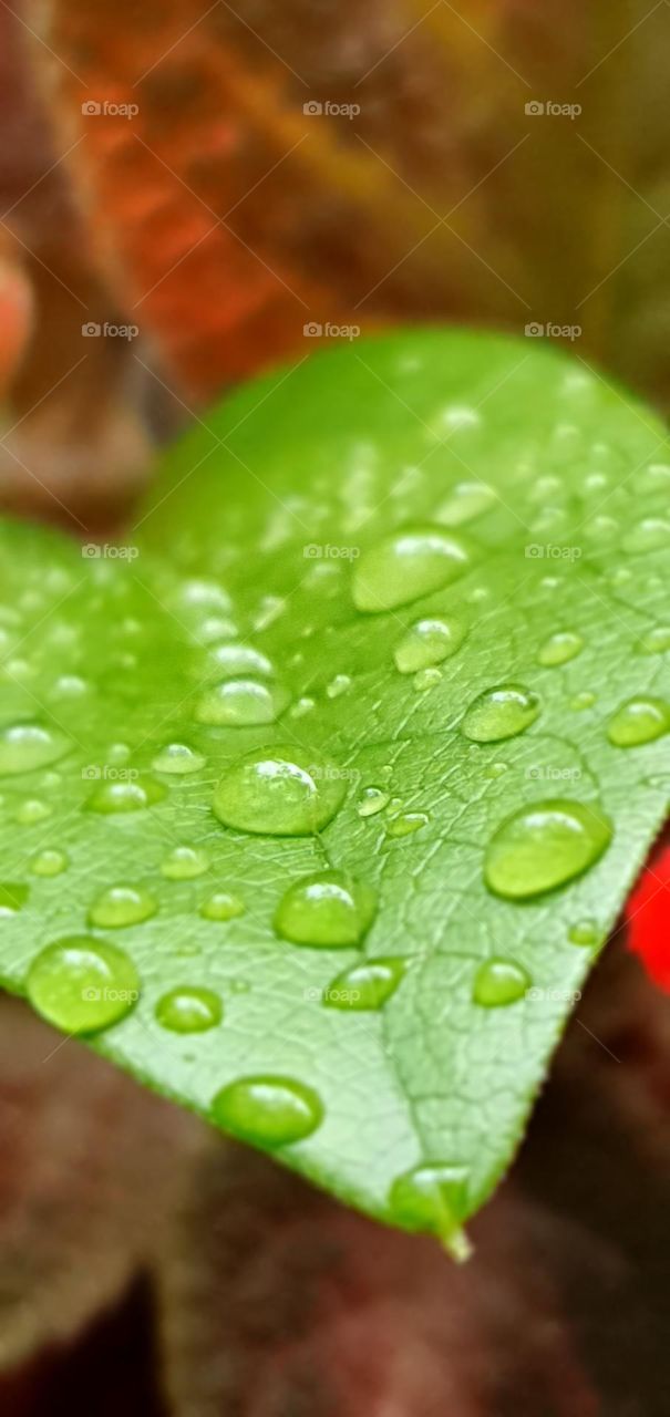 Editors' Choice : Photo of the week