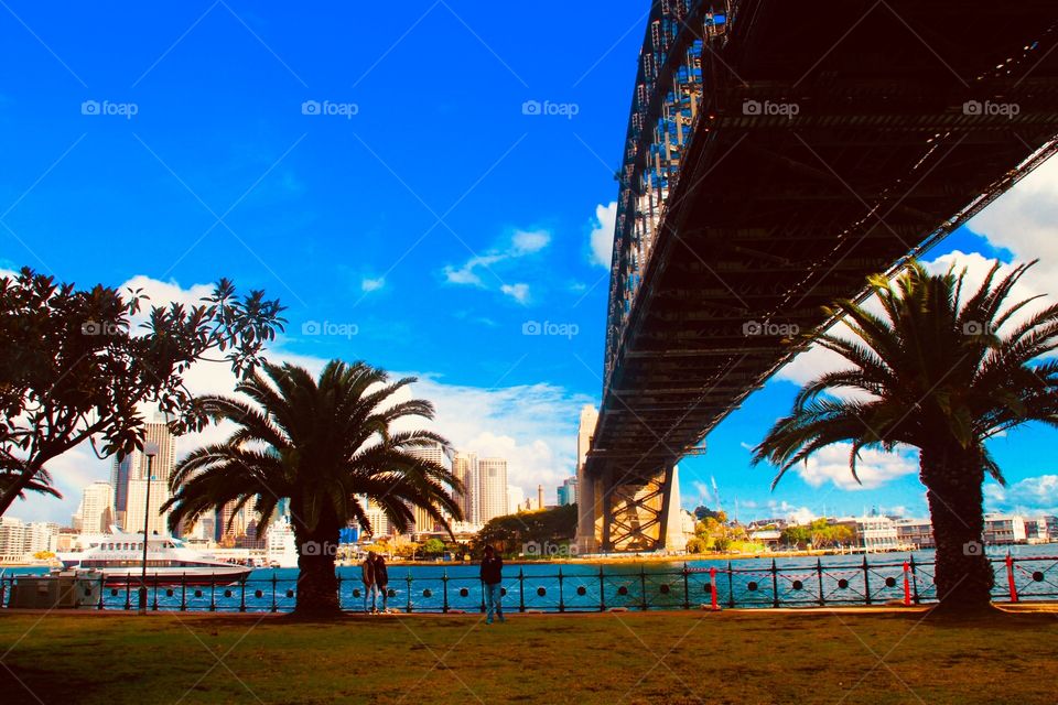 Sydney harbour bridge from underneath in between two palm trees